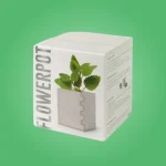 Custom Seed Boxes