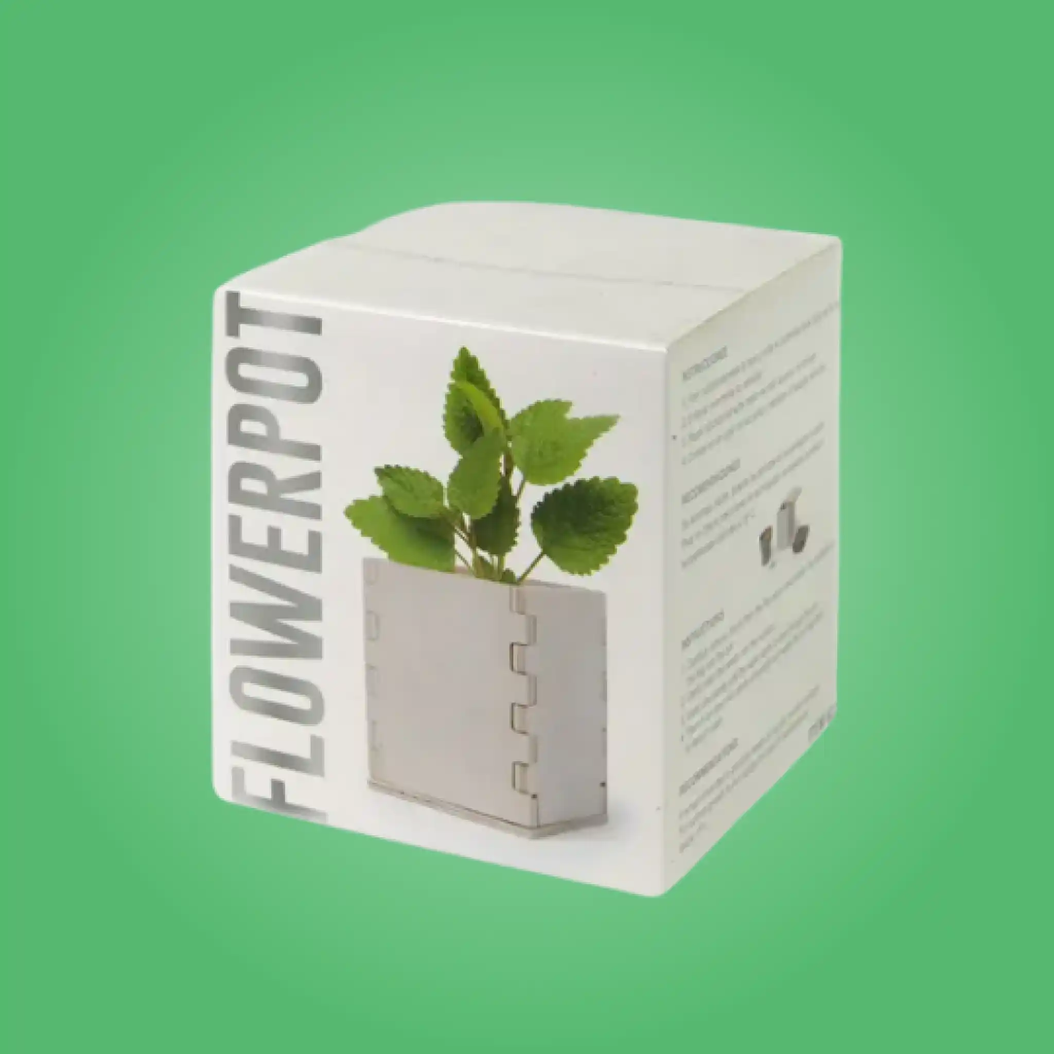 Custom Seed Boxes