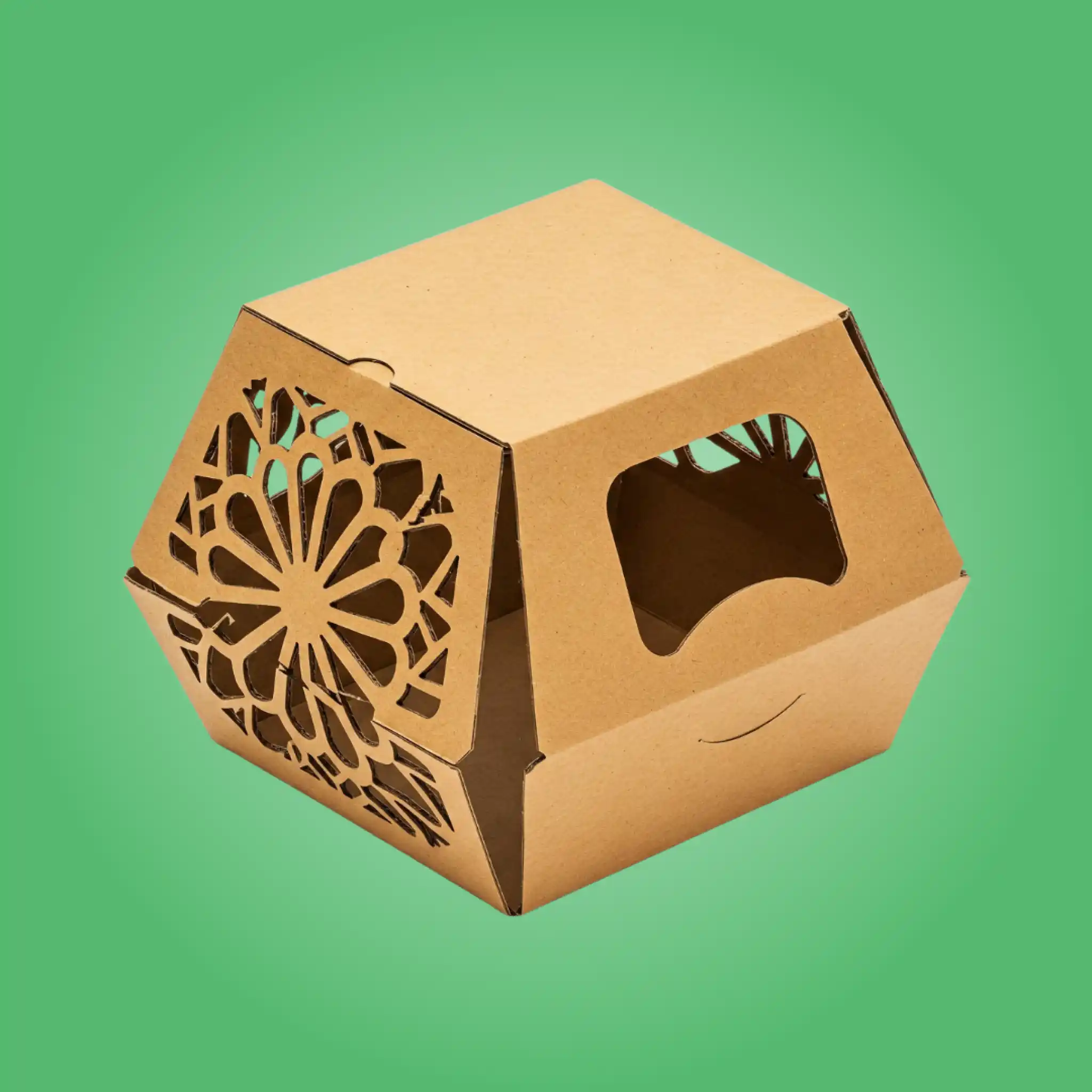 Custom Die Cut Kraft Boxes