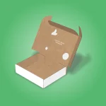 Custom Ear Lock Mailer Boxes