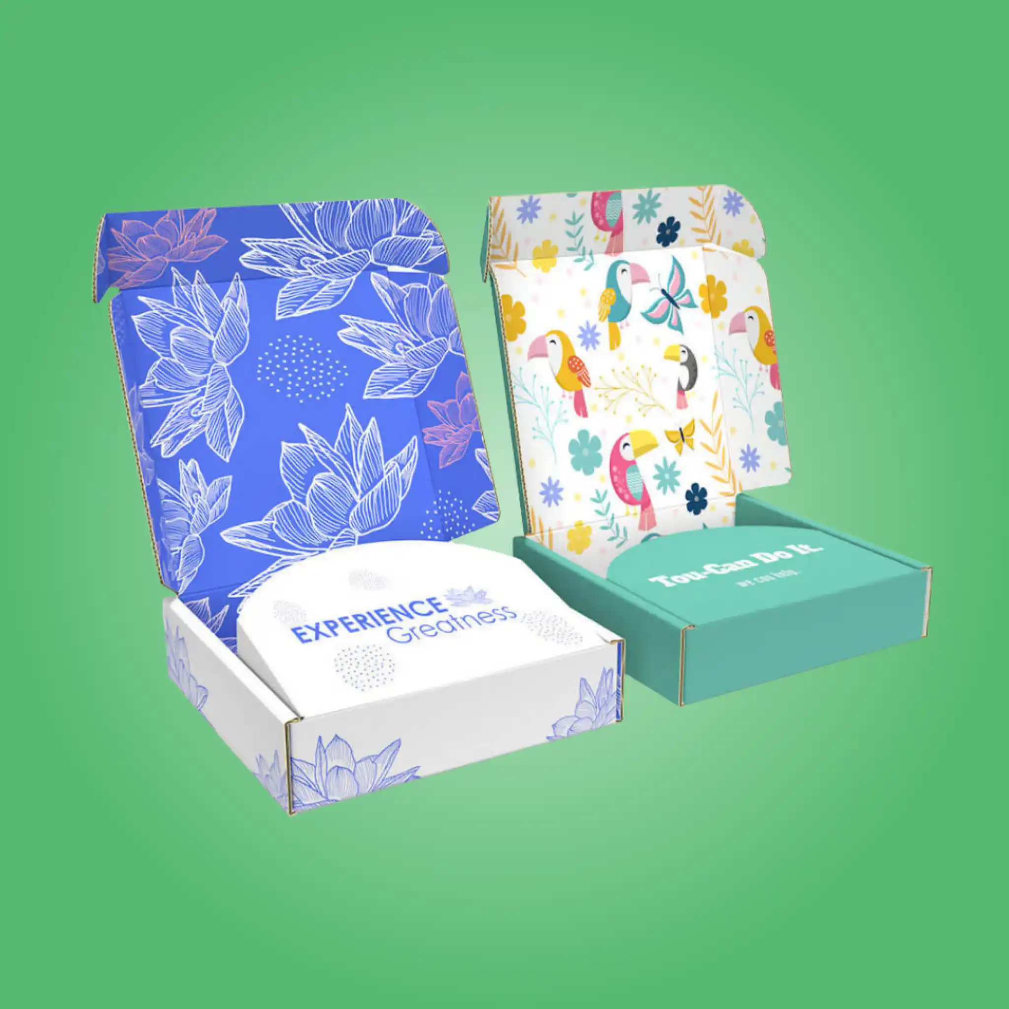 Custom Full Color Mailer Boxes