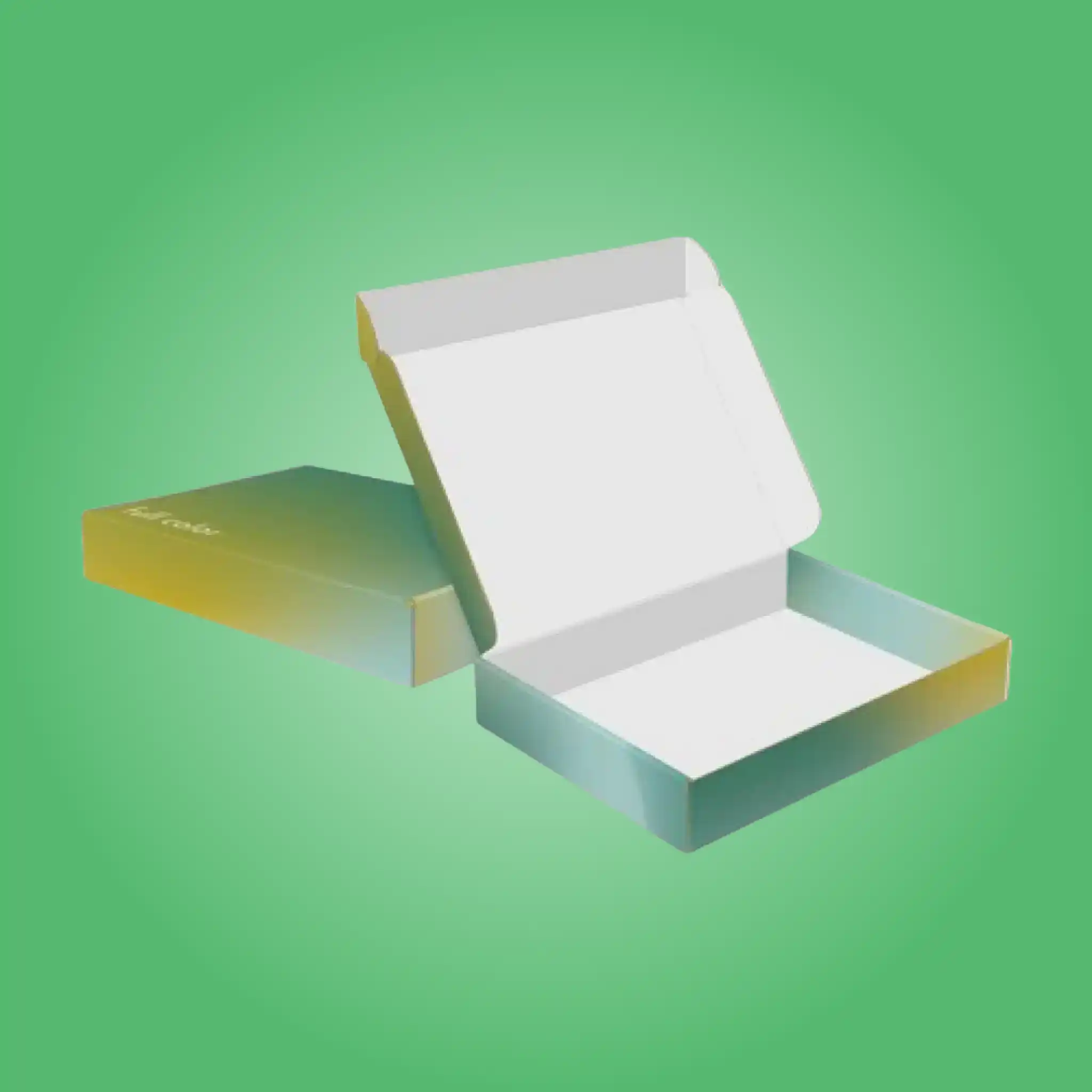 Custom Full Color Mailer Boxes