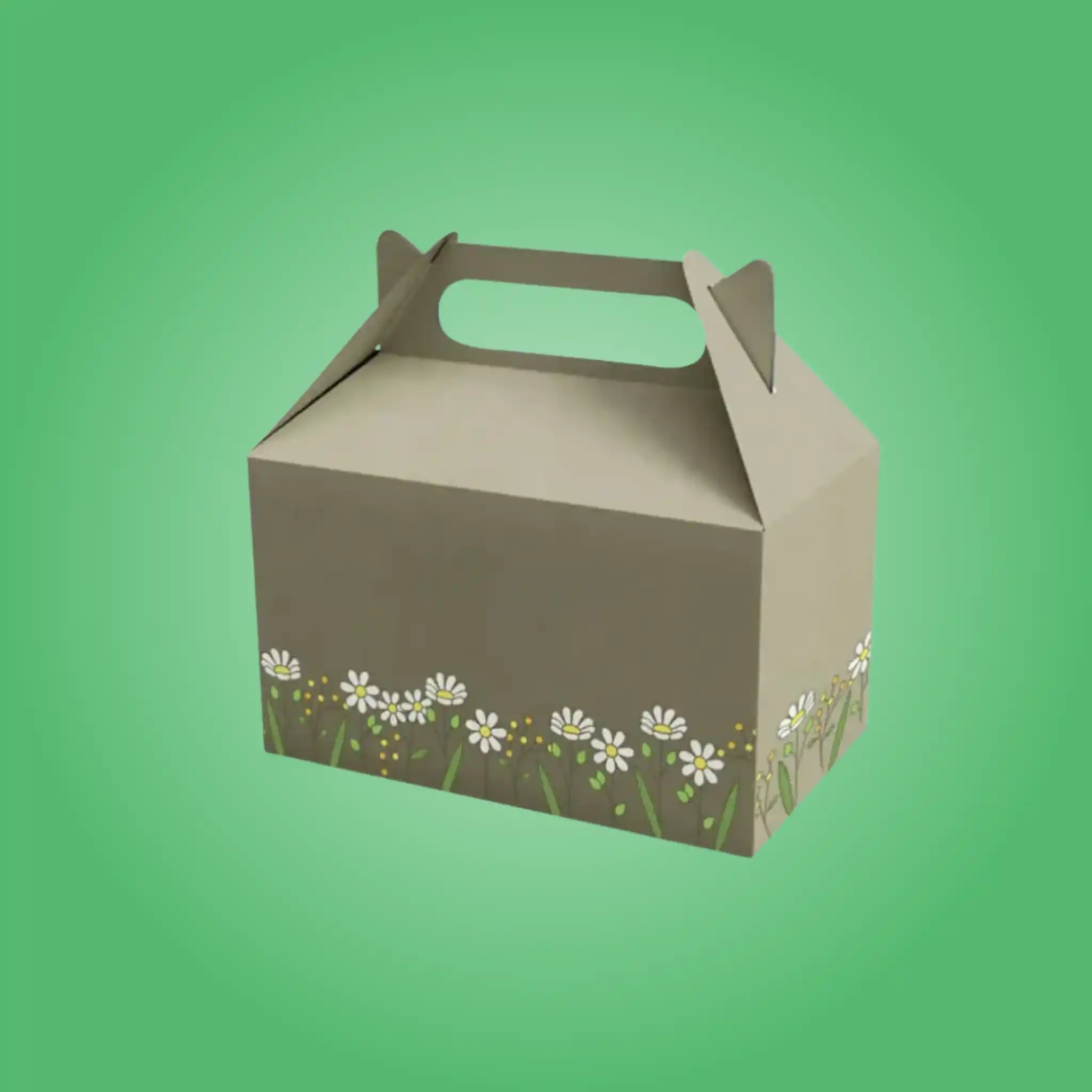 Custom Kraft Gable Boxes