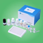 Custom Testing Kit Boxes