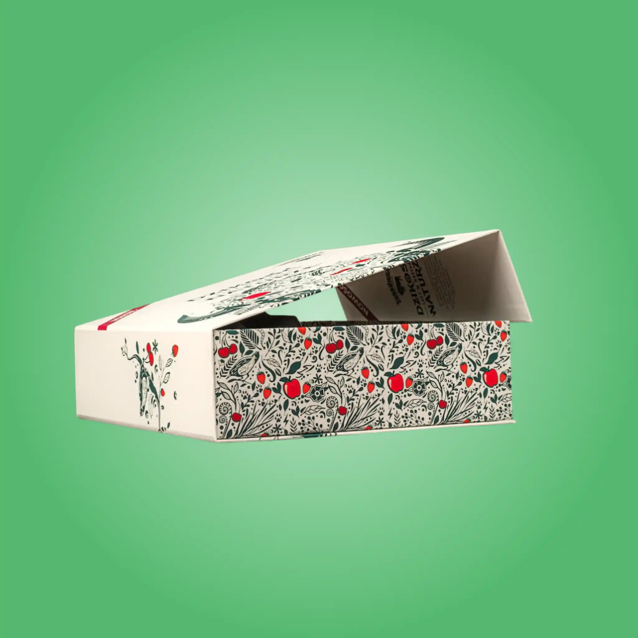 Rigid Boxes with Magnetic Closure